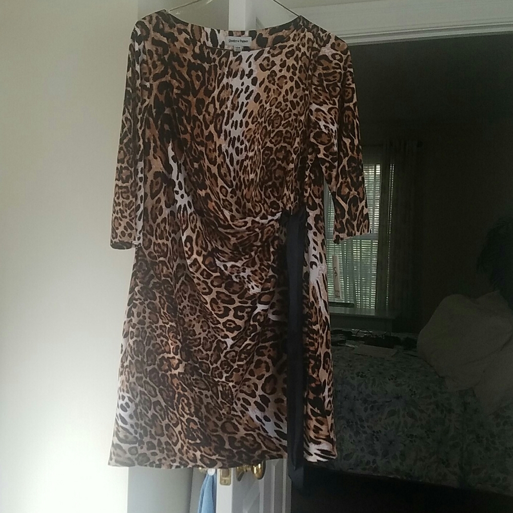 Shelby and Palmer dress, washable